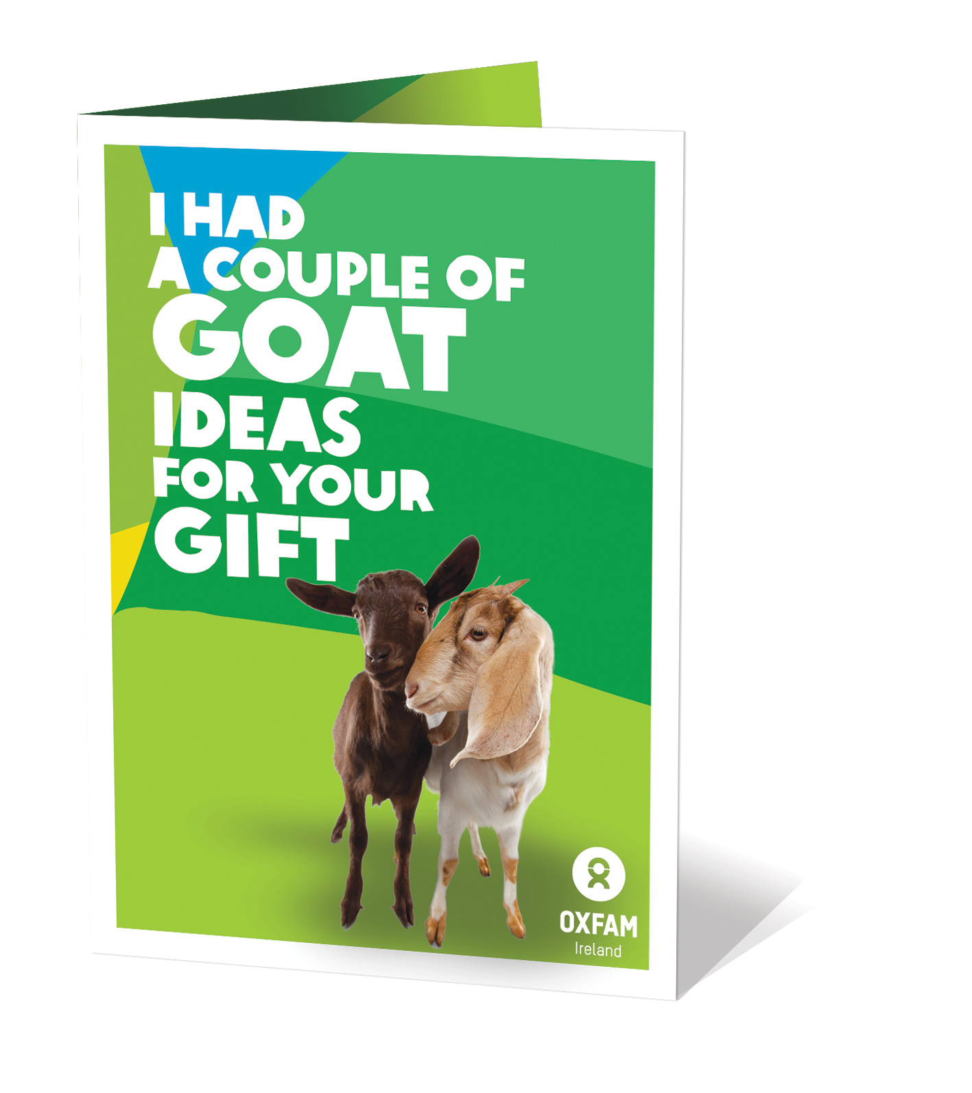 Oxfam Gift of 2 Goats image